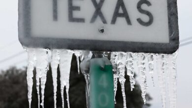 ولاية تكساس الأمريكية.. استقالات جماعية بعد أزمة الكهرباء