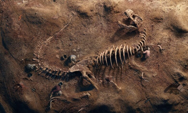 اثار اقدام الديناصورات التي مشيت في بريطانيا قبل 110 مليون سنة