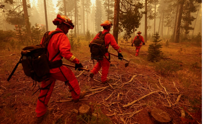 التهم نصف مليون فدان وشرّد الآلاف كاليفورنيا تكافح ثاني أكبر حريق في تاريخها