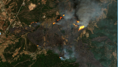 اندلع في محمية طبيعية.. مقتل شخصين في حريق غابات قرب سان تروبيه بفرنسا