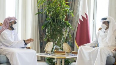 أول زيارة بعد المصالحة.. أمير قطر يستقبل طحنون بن زايد