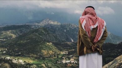 غابات السعودية ..كشفت السلطات عن امتلاك المملكة تمتلك 280 غابة حتى 2021