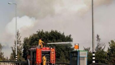 رجال إطفاء يكافحون حريق غابات في تلال خارج القدس وسط استعار حرائق الغابات