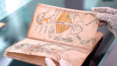 مكتبة الملك عبد العزيز العامة تقتني مخطوطات طبية إسلامية نادرة