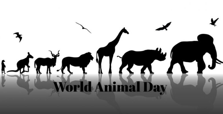 اليوم العالمي للحيوان يعود من جديد في 4 اكتوبر..(مقاله)