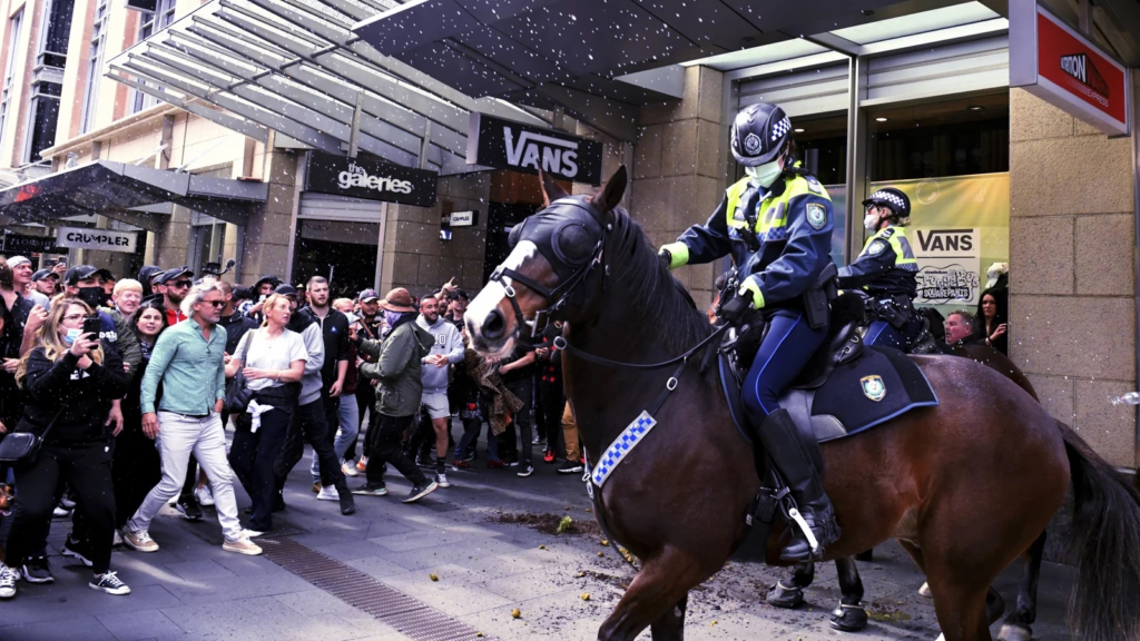 احتجاجات في نيوزيلندا