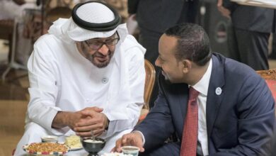 هل يسهم التقارب الإماراتي التركي في استقرار إثيوبيا؟