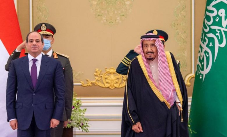 السعودية ومصر تؤكدان على أهمية العمل العربي المشترك