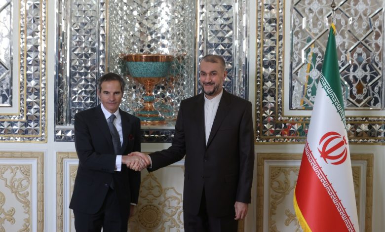 النووي الإيراني.. غروسي يدعو طهران للتعاون وعبد اللهيان: قدمنا مبادرات جادة في محادثات فيينا