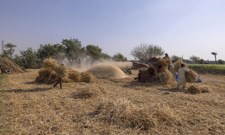مصر تحصل على 600 مليون دولار من البنك الدولي والاتحاد الأوروبي لدعم واردات وصوامع القمح