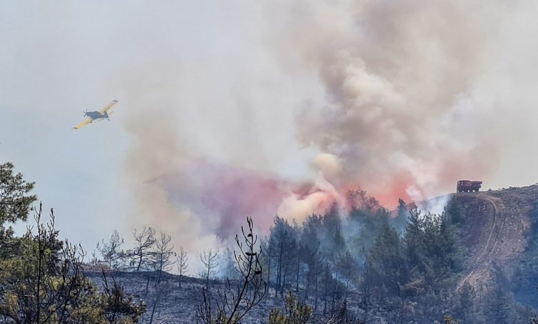 لليوم الثالث.. تركيا تكافح لإخماد حرائق الغابات غربي البلاد وسط عمليات إجلاء