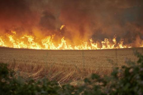 حرائق تلتهم الغابات في إسبانيا وسط درجات حرارة قياسية (فيديو)