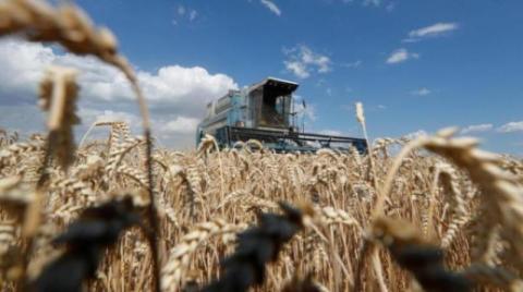 مسؤول أوكراني: 300 ألف طن من الحبوب ربما كانت في مستودعات دمرتها الحرب