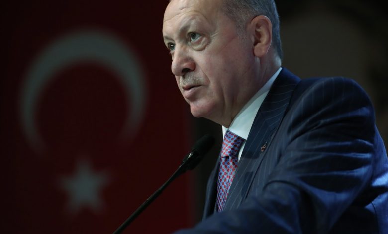أردوغان يكشف عن مستوى مباحثات تطبيع العلاقات مع القاهرة