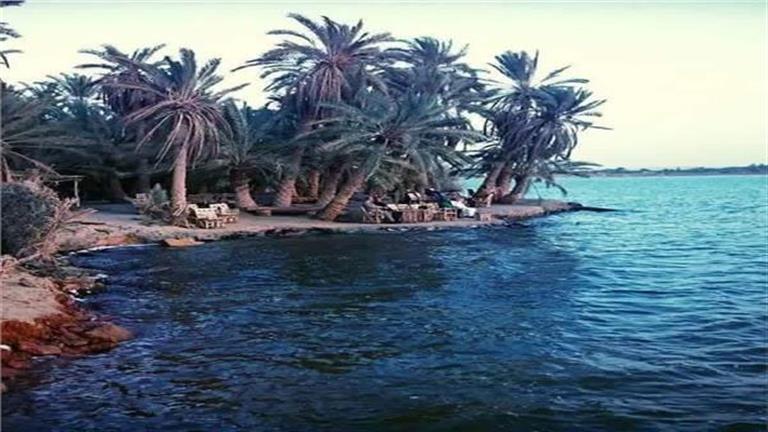 بيان رسمي.. الحكومة تكشف حقيقة تجفيف بحيرة فطناس في سيوة