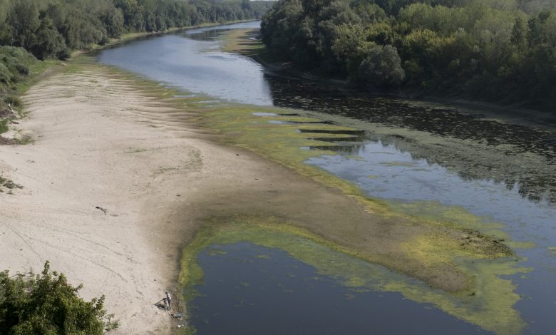 لوفيغارو: توقفت الأمطار وجفت الأنهار.. أوروبا تواجه أسوأ جفاف لها منذ 500 عام