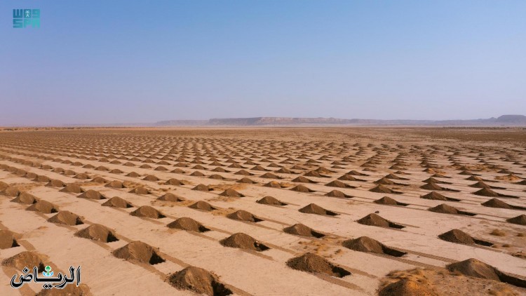بدء المرحلة الأولى لزراعة «مليون شجرة» في محمية الملك عبدالعزيز الملكية