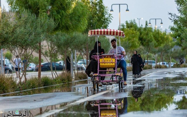 لوحة جمالية بالمدينة المنورة إثر الأمطار