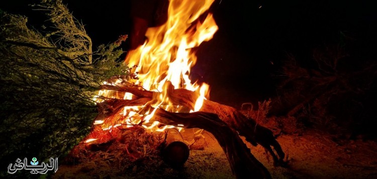 40 ألف ريال غرامة حرق وسكب المواد الضارة على الأشجار