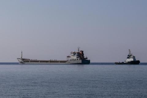 وصول أول سفينة أجنبية إلى أوكرانيا منذ بدء الحرب استعداداً لنقل الحبوب