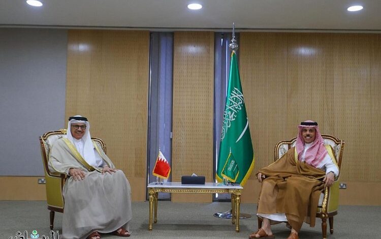 وزير الخارجية يلتقي وزير خارجية البحرين
