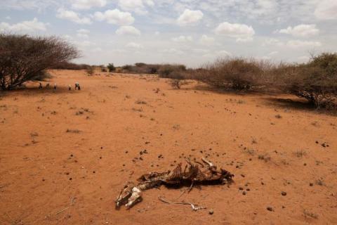 «الأرصاد الجوية» تدعو الدول الأكثر ثراءً لتمويل درء التهديدات المناخية بأفريقيا