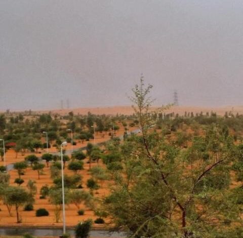 مركز الغطاء النباتي السعودي يدعو «كافة شرائح المجتمع» للمساهمة في زراعة 10 مليارات شجرة