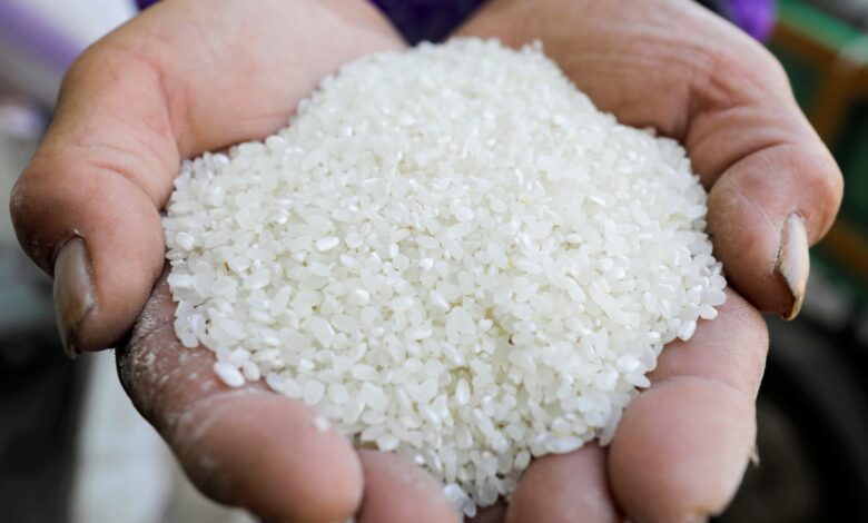 رغم الاكتفاء الذاتي.. لماذا يختفي الأرز في مصر؟
