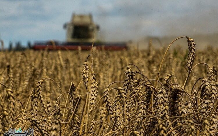 باكستان توافق على استيراد القمح من روسيا لتجنب أزمة غذاء