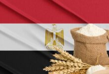 وزير: الأحداث العالمية قد تؤثر على إمدادات الحبوب في مصر مؤقتا
