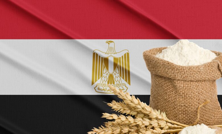 وزير: الأحداث العالمية قد تؤثر على إمدادات الحبوب في مصر مؤقتا