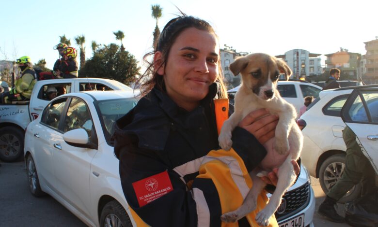 فرق الإنقاذ تعالج الحيوانات التي تم إنقاذها من تحت أنقاض زلازل تركيا |  أخبار زلزال تركيا وسوريا