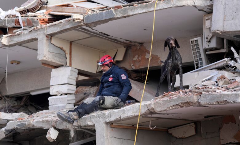 عدد القتلى يتجاوز 23700 مع استمرار جهود الانقاذ في تركيا وسوريا |  أخبار الزلازل