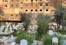 من 3 إلى 6 جثث بالقبر الواحد.. أزمة المقابر تزيد أوجاع اللاجئين الفلسطينيين في لبنان