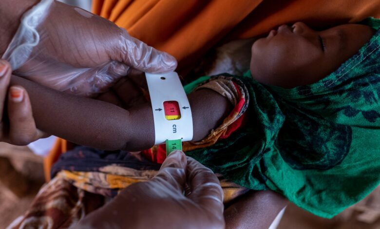 الأمم المتحدة تقول إن سوء التغذية بين الأمهات يرتفع في البلدان المنكوبة بالأزمات |  أخبار المرأة