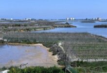 تونس تطبق نظام حصص المياه بسبب الجفاف الشديد