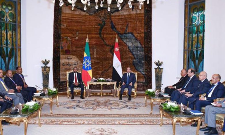 ترتيبات الفرصة الأخيرة.. ما الذي يمكن أن تسهم به قمة القاهرة في حل الأزمة السودانية؟