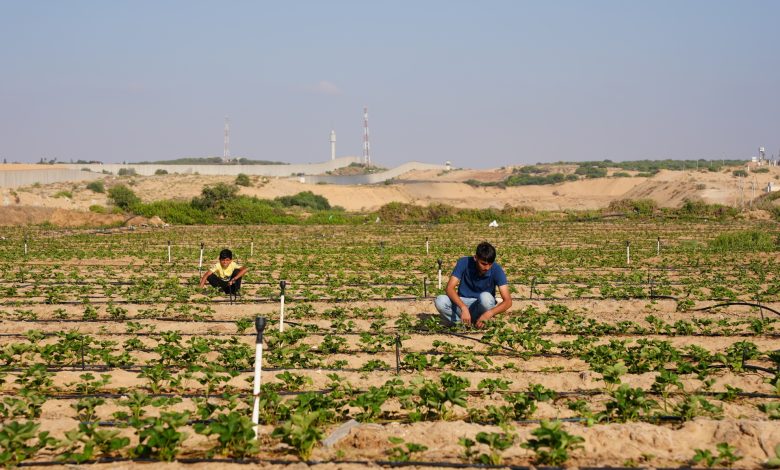 حقول زراعية ومواقع رصد.. هكذا تحولت الحدود الأكثر سخونة بعد 9 سنوات من أطول حرب على غزة