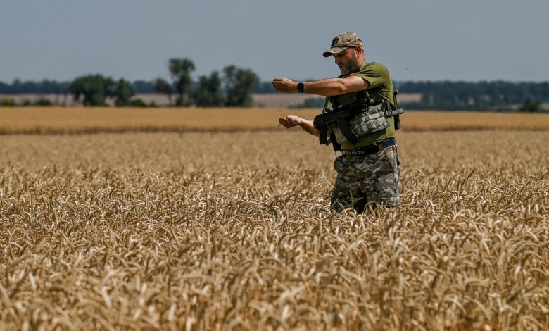 3 خيارات أحلاها مُر.. كيف تخطط أوكرانيا لتجاوز أزمة تعطل اتفاقية الحبوب؟