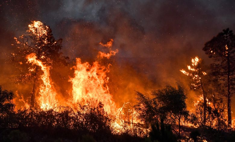 34 قتيلا وإنقاذ المئات.. الرّماد يكسو الجبال والنيران تحوّل الصّيف لرعب في المناطق الغابية بالجزائر