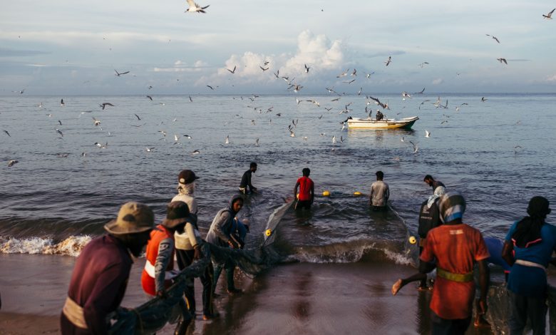 يواجه الصيادون في سريلانكا ضربة مزدوجة من المناخ والاقتصاد