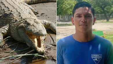 تمساح يقتل لاعبا لكرة القدم في كوستاريكا