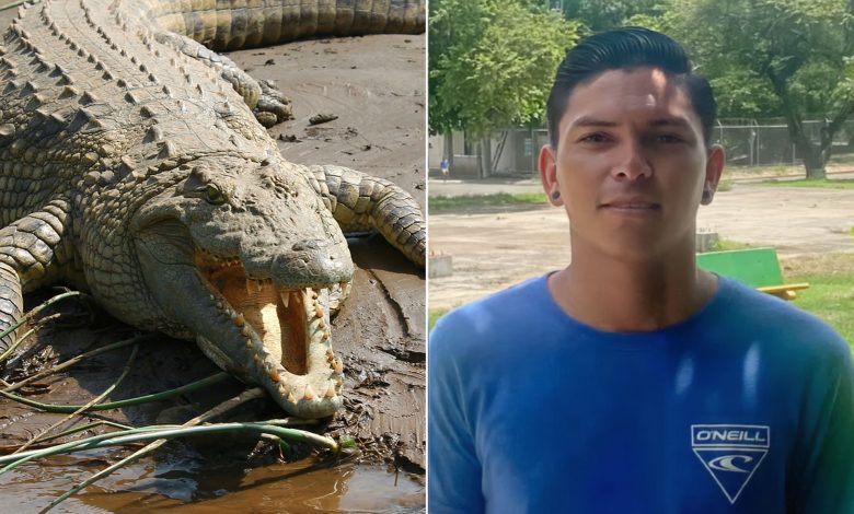 تمساح يقتل لاعبا لكرة القدم في كوستاريكا