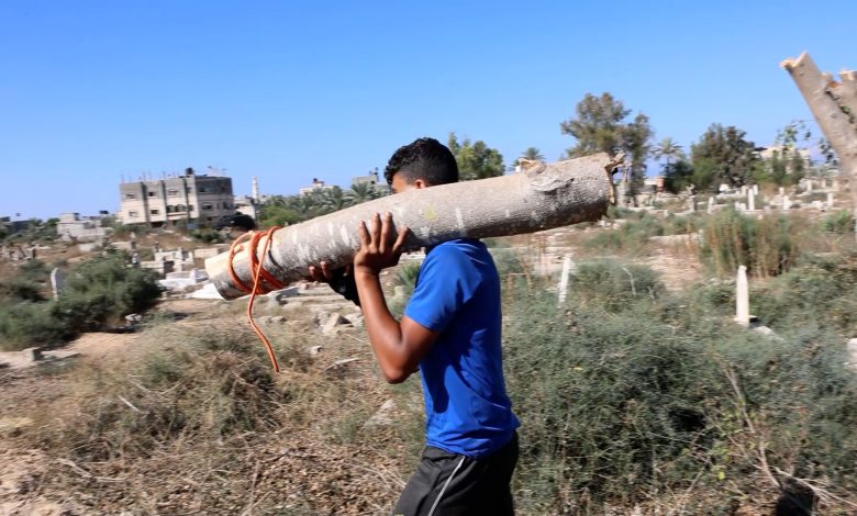 يجوبون الشوارع والمقابر بحثا عن الخشب.. حرب غزة تحيي مهنة الحطّاب