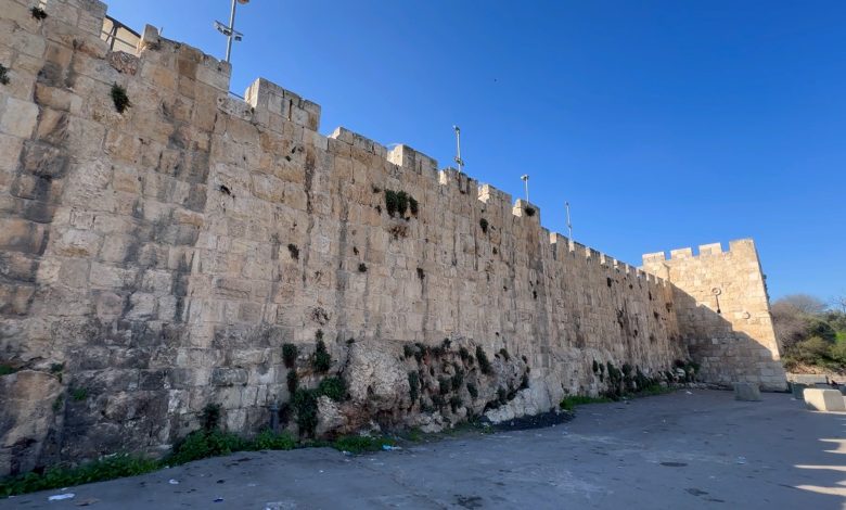 فيديو.. عائلة "عويس" تواجه محاولات الاحتلال الاستيلاء على أرضها المحاذية لسور القدس
