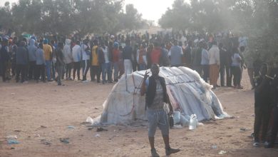 أحلام مدفونة في حقول الزيتون.. مأساة المهاجرين غير النظاميين بتونس تتعمق
